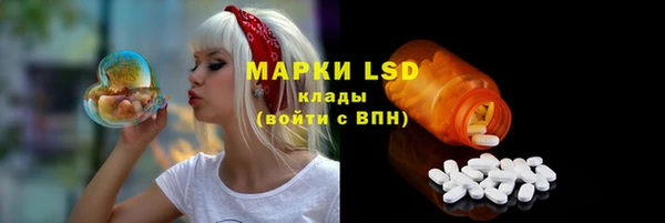 ПСИЛОЦИБИНОВЫЕ ГРИБЫ Алзамай