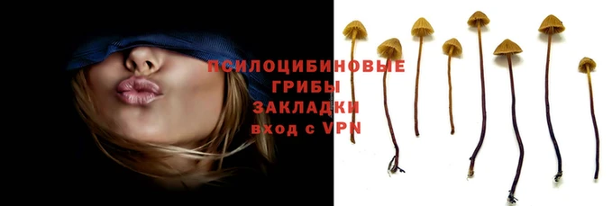 а пвп мука Абаза