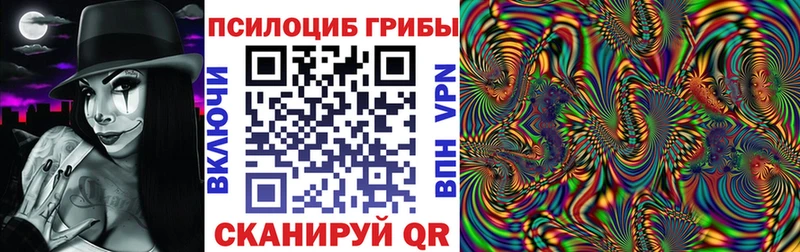Псилоцибиновые грибы Psilocybe Лебедянь